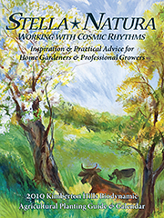 stella natura 2010 cover