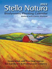 stella natura 2022 cover